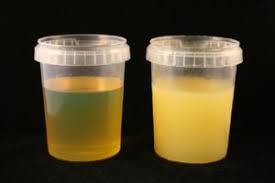 ponto de congelamento